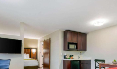 Microwave/Refrigerator