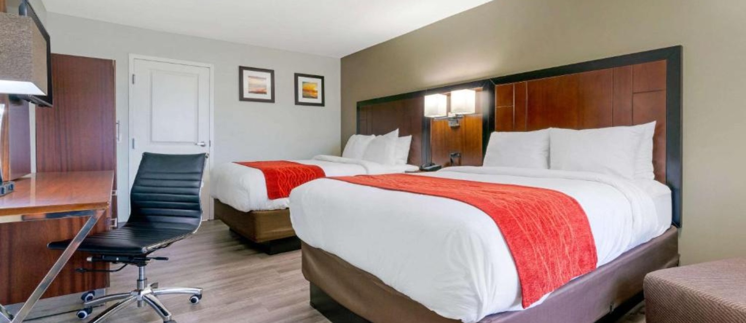 Remodeled Guestrooms