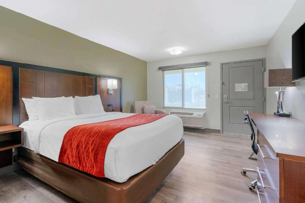 Non-Smoking 1 King Suite Room