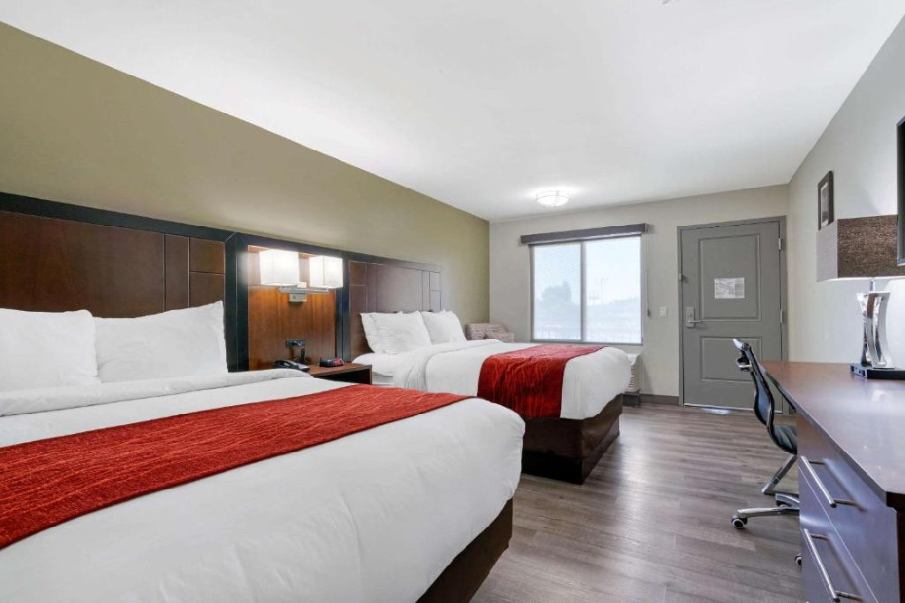 Antioch Inn & Suites - Guest Room