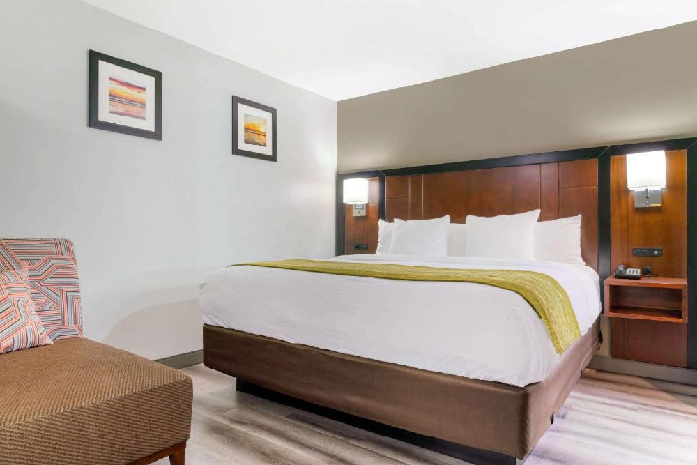 Non-Smoking 1 Queen Accessible Room