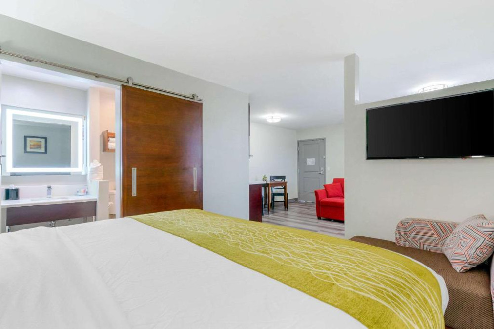 Non-Smoking 1 King Suite Room